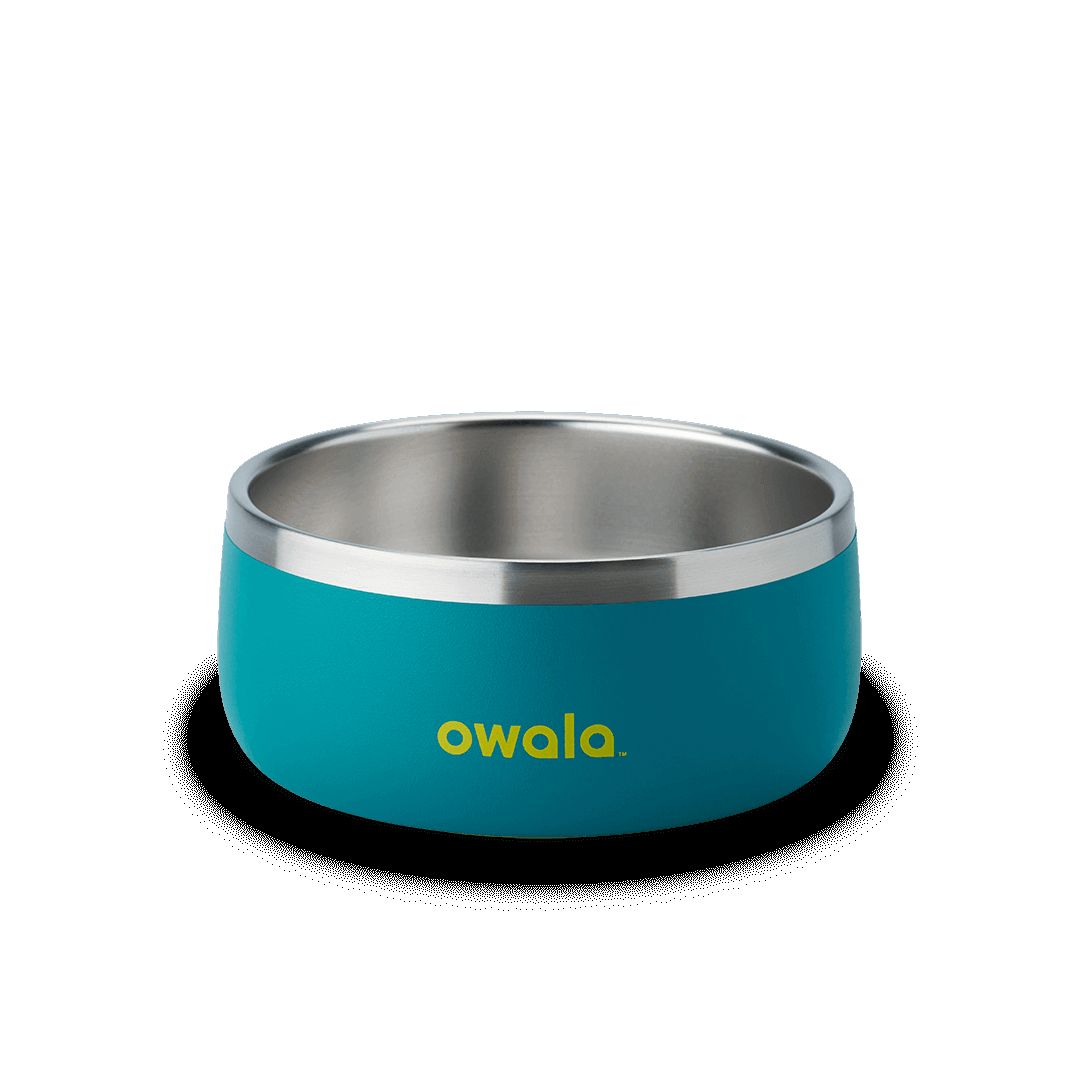 Pet Bowl Owala 5 Turquesa | MX W6395N