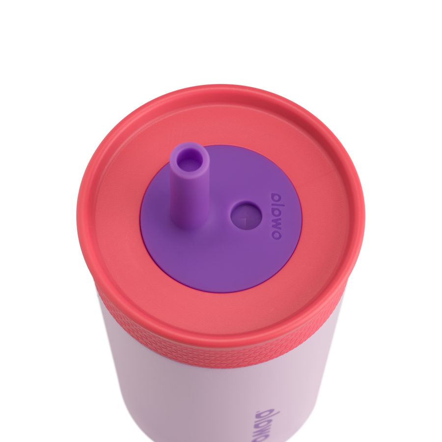 Tumbler Stainless Steel Owala Tumbler Stainless Steel 16 Lilac Rocket | MX B6368E